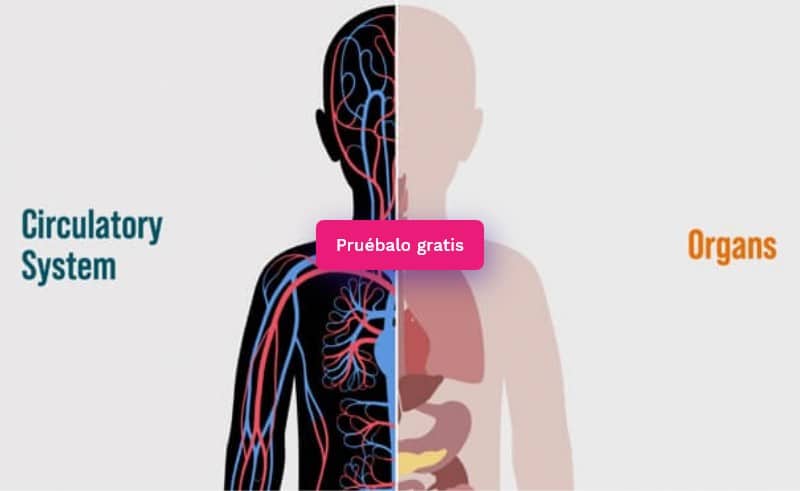 contenido interactivo